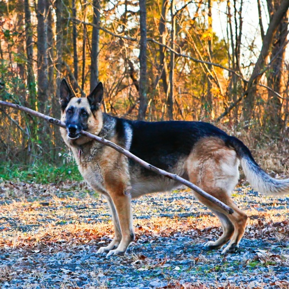 *Meet Your Posher* - Picture 4 of 6